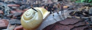 Profesionálna úprava fotografie a fotomontáž